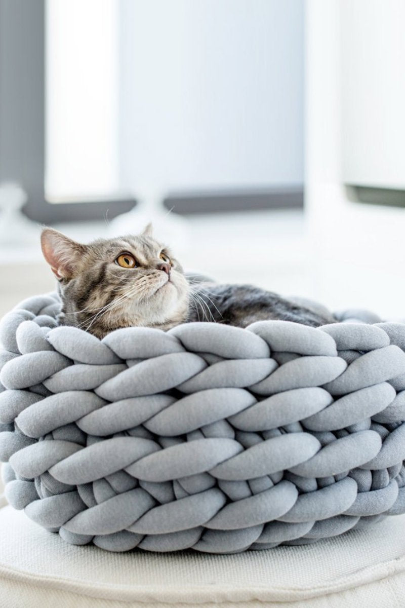 Chunky Cat Basket